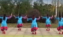 春英广场舞大全视频,舞动健康，乐享生活